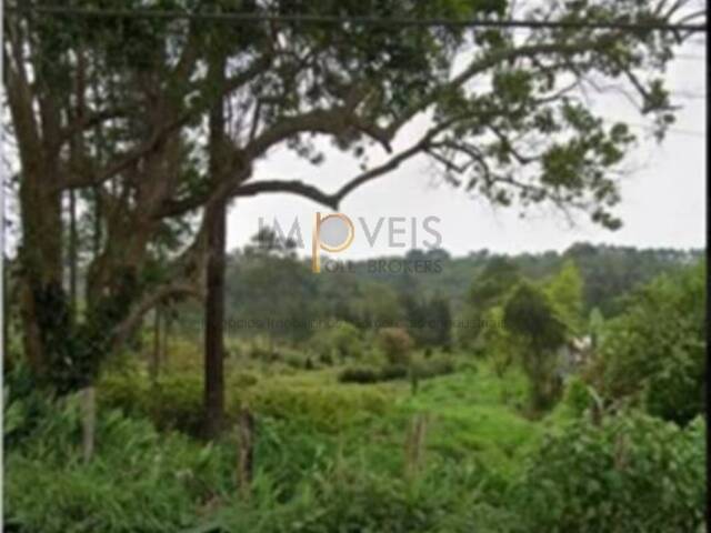 #4336 - Terreno para Venda em Embu-Guaçu - SP - 3