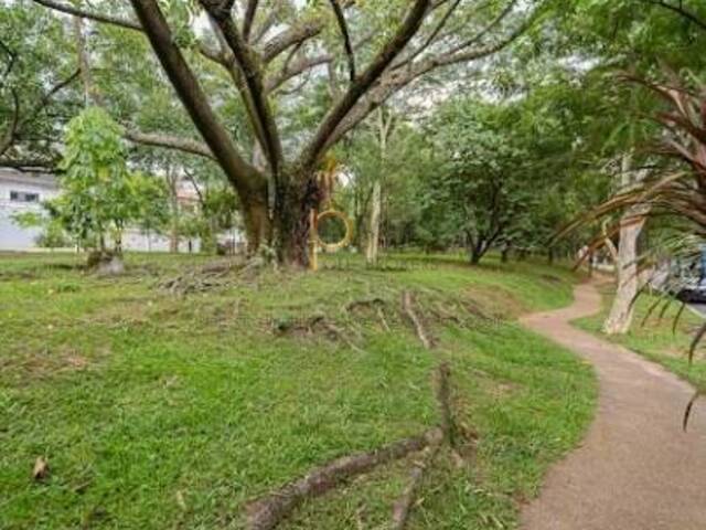 Casa Térrea de Rua para Venda em São Paulo - 4
