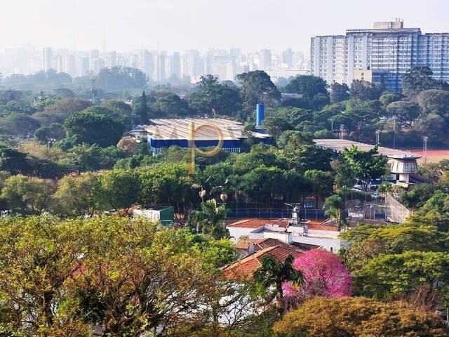 #4033 - Apartamento Um por Andar para Venda em São Paulo - SP - 2