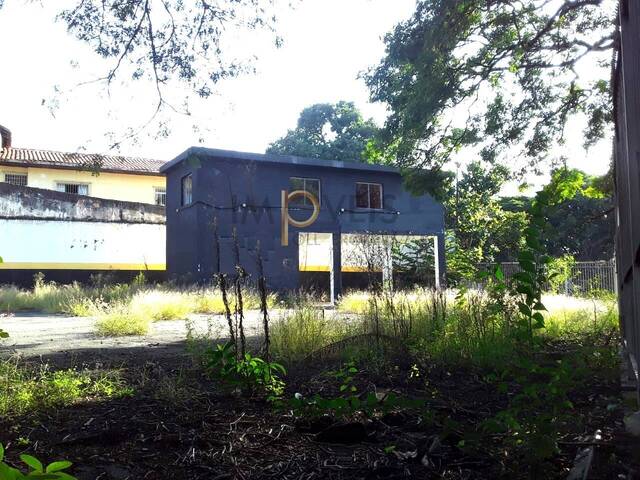 #4131 - Terreno para Venda em São Paulo - SP - 3