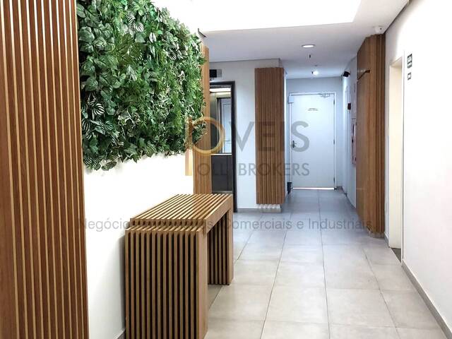 #4412 - Conjunto Comercial para Locação em São Paulo - SP - 1